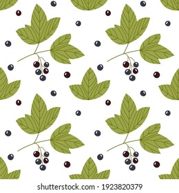 Vector seamless pattern with a branch of black currant, berries and leaves on a white background. Calm illustration for fabric, wallpaper, wrapping paper, product design.