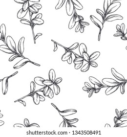 Vector seamless pattern with branches of cowberry in engraving style. Hand drawn botanical texture with leaves for herbal design.