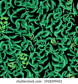 vector seamless pattern of branches and leaves, green jungle on black background