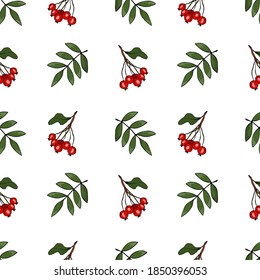 Vector seamless pattern with branches of rowan on gray background. Hand drawn repeated background for textile, wrapping paper, greeting card and invitation of seasonal fall holidays
