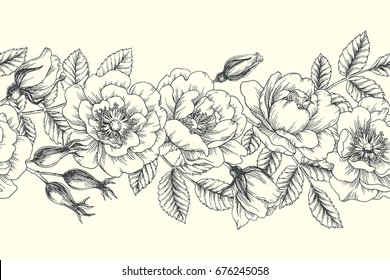 Vector seamless pattern with briar. Vintage botanical illustration of hip rose flowers, leaves, buds and berries. Floral texture with engraving eglantine. Sketch style.