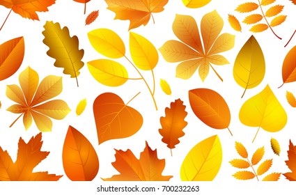 Vector seamless pattern with bright autumn leaves.
Universal vector illustration with fall colorful foliage.