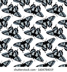 Vector seamless pattern with bright butterflies. Hand drawn texture design