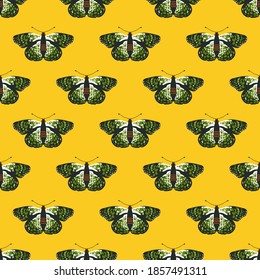 Vector seamless pattern with bright butterflies. Handdrawn texture design