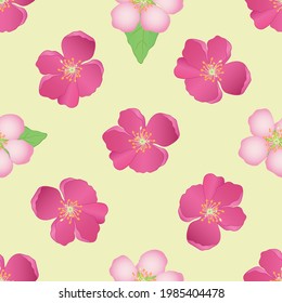 Vector seamless pattern with bright color spring flowers on a light background