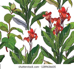 Vector Seamless Pattern Bright Colorful Jung Tropical Red Canna Flowers, Blooming Summer, Rainforest Leaves