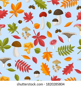 Vector seamless pattern of bright colorful autumn leaves: oak, maple, chestnut, rowan, birch, linden and edible wild mushrooms. Isolate on a blue background