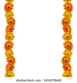 Vector seamless pattern brush with flower Calendula. Yellow and orange flowers.Endless vertical pattern brush. Bright floral border for season design, wedding invitations, postcards, posters, textile. 
