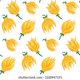 Vector seamless pattern with bud of tropical flowers ylang ylang on white background. Wallpaper with natural floral objects in cartoon style. 