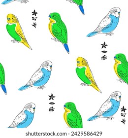 Vector seamless pattern with budgies isolated on white. Hand-drawn endless texture with parrots in  sketch style.
