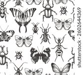Vector seamless pattern with butterflies, bugs, beetles. Vector hand drawn sketch illustration on white background. Insects doodle background. Fashion textile print, fabric, wrapping paper design