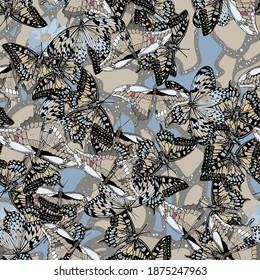 vector seamless pattern with butterflies. Colorful bright summer silhouette line drawing . Abstract seamless. Background composition template vector for modern style.