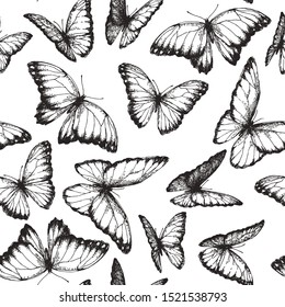 Vector seamless pattern with butterflies with different positions of wings in engraving style. Hand drawn texture with beautiful insects.