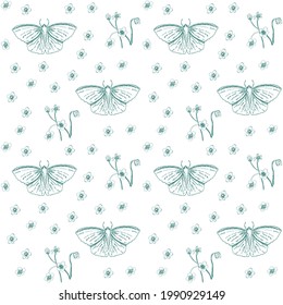 Patrón vectorial sin fisuras con mariposas y elementos florales. Elegante diseño de contorno en estilo vintage.