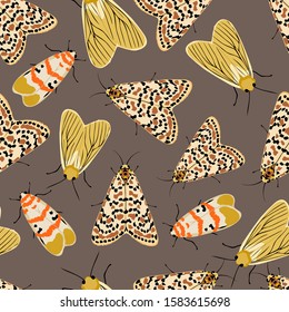 vector seamless pattern of butterflies and moths ,hand drawn picture