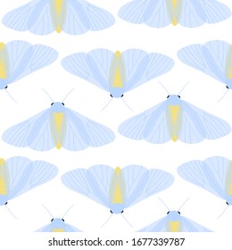 Vector seamless pattern of butterflies and moths on white background,hand drawn picture