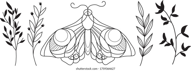 Patrón de vectores sin fisuras con mariposa y ramas: armazón negro mariposa transparente con círculos para tela, papel tapizado, papel envolvente, textil, paquete, diseño web