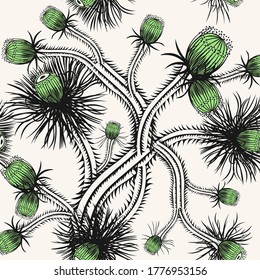 Vector seamless pattern with cactus flowers. Floral tropical background with succulent plants. Modern botanical illustration. Black, white and green color. Stylish repeat design for print, wallpaper
