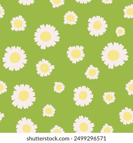 Vector seamless pattern with camomiles on light green background.