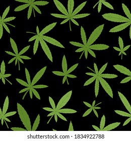Vector seamless pattern with cannabis leaves on black background. Bright colorful flat stylized background.
