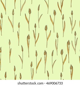 vector seamless pattern with of cartoon doodle wheat spikes