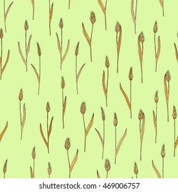 vector seamless pattern with of cartoon doodle wheat spikes