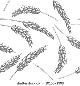 Vector seamless pattern with cereal ears in engraving style. Botanical hand drawn texture with  wheat spikelets isolated on white background.