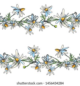 Vector seamless pattern with chamomile branches isolated on white. Hand drawn botanical texture with flower border. Color floral sketch with camomile.