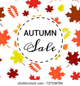 Vector seamless pattern with chaotic maple,ash and alder leaves in autumn colors. EPS10. Can be used as wrapping paper, web, design autumn sale banners. Sale badge.