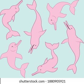 Vector seamless pattern with characters of Amazonian pink dolphins inia geoffrensis in different poses on a turquoise background.