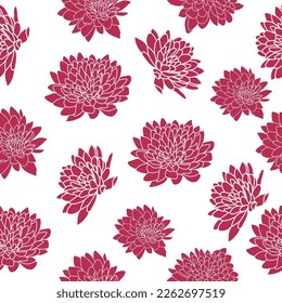 Vector Seamless pattern with chrysanthemums. Chrysanthemum flowers. Pink flowers background vector. Vector of chrysanthemums.Viva Magenta.