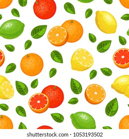 Vector seamless pattern with citrus fruits on white background. Colorful illustration.