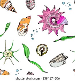 Vector seamless pattern with clams, neon colors, white background, green algae. For design, wallpaper, background, decor, decoration, factories, textiles, cards