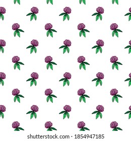 Vector seamless pattern of clover bud with leaves. Rose flower hand-drawn illustration. Botanical sketch of trefoil