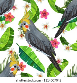 Vector seamless pattern with cockatiel, frangipani flowers and palm leaves on white background. Realistic birds and plants. Colorful summer illustration.