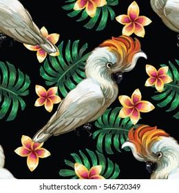 Vector seamless pattern with cockatoos, plumeria flowers and monstera leaves on black background. EPS8 file.