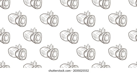 Vector seamless pattern with coconuts, hand drawn coconut, background template, black and white outline coconuts with leaves.
