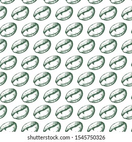 Vector seamless pattern with coffee beans. Illustration grains of coffee in sketch engraving style for coffee shop or packaging. Vintage background with green coffee beans on white backdrop. 