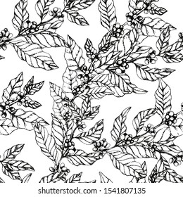 Vector seamless pattern with coffee branches. Illustration of leaves and berries of coffee in sketch engraving style. Vintage black and white background with leaves and coffee. 