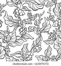 Vector seamless pattern of coffee tree, branch, leaves, bean. Natura simple print, tropical background Floral silhouette, hand draw art line illustration Exotic texture Summer plantation, rich harvest
