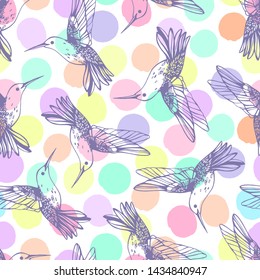 Vector seamless pattern with colibri.