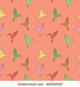 Vector seamless pattern with colibri