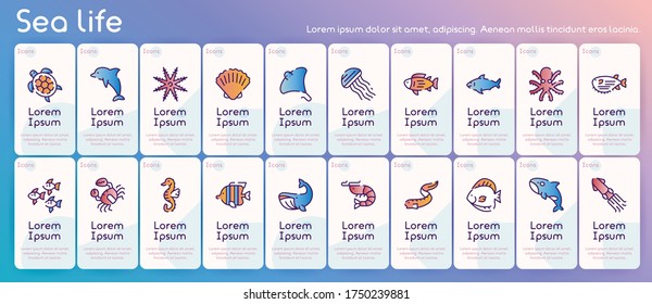 Vector seamless pattern with color linear icon of underwater fish, marine animals. Outline symbol background of sea life, turtle, dolphin, starfish, octopus, seashell, shrimp. Aquatic print texture
