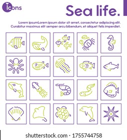 Vector seamless pattern with color linear icon of underwater fish, marine animals. Outline symbol background of sea life, turtle, dolphin, starfish, octopus, seashell, shrimp. Aquatic print texture