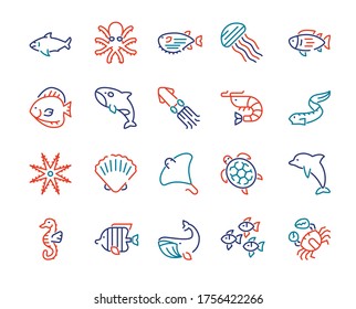 Vector seamless pattern with color linear icon of underwater fish, marine animals. Outline symbol background of sea life, turtle, dolphin, starfish, octopus, seashell, shrimp. Aquatic print texture