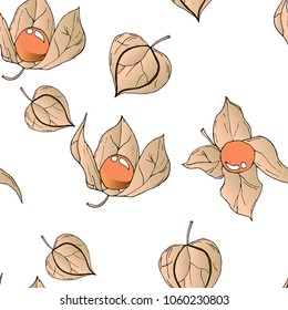 Vector seamless pattern with colored autumn phyisalis on white background.