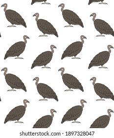 Vector seamless pattern of colored hand drawn doodle sketch griffon vulture bird isolated on white background