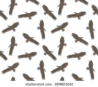 Vector seamless pattern of colored hand drawn doodle sketch flying griffon vulture bird isolated on white background