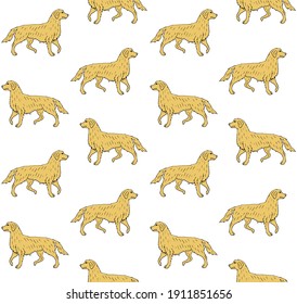 Vector seamless pattern of colored hand drawn doodle sketch retriever dog isolated on white background