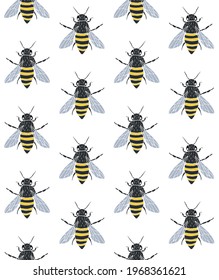Vector seamless pattern of colored hand drawn doodle sketch bee isolated on white background